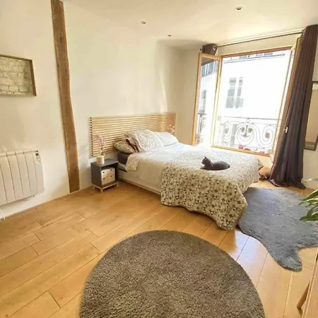 Rustic Walls & Natural Light In Heart Of * Παρίσι